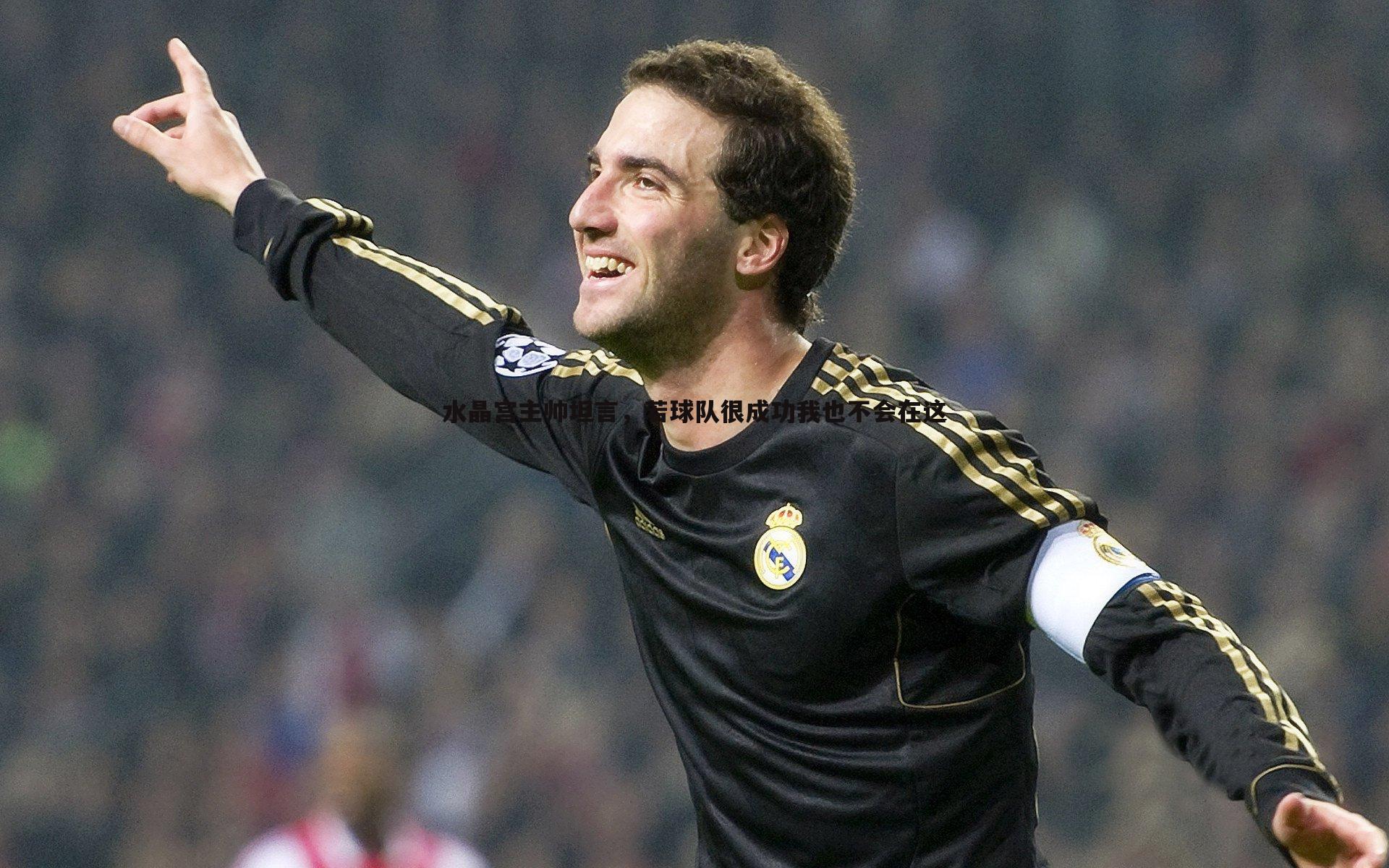 水晶宫主帅坦言，若球队很成功我也不会在这